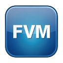 FVM Manager